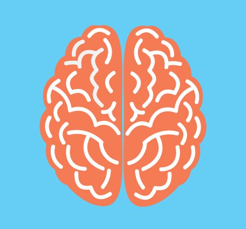 Image of a brain