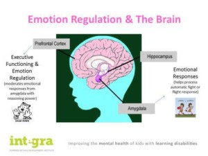 Chart- Emotion Regulation and Brain