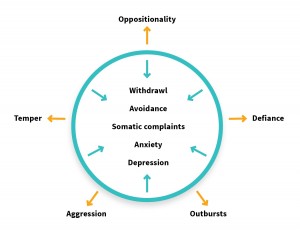 Diagram showing the internalized behaviours within a circle, and the externalized behaviours outside the circle