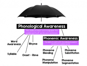 phonological awareness umbrella