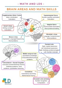 Diagram of brain areas math skills