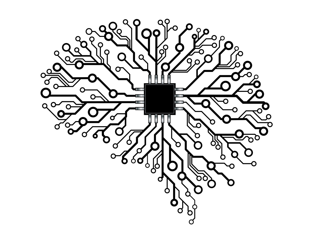 An In-Depth Look at Executive Functions