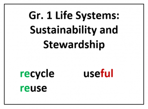 Example of how to teach morphological awareness with science vocabulary