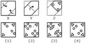 Image: Example of a paper folding test 
