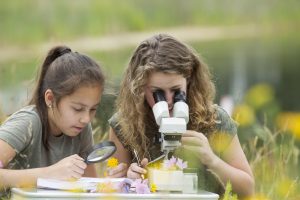 Two students doing science homework