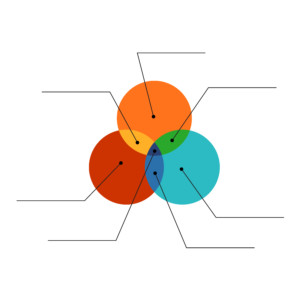 Venn Diagram