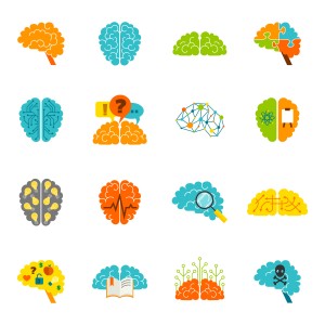 16 cartoon brains
