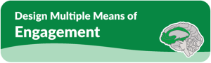 Graphic titled “Design Multiple Means of Engagement” with a stylized brain icon, representing student engagement in Universal Design for Learning (UDL).
